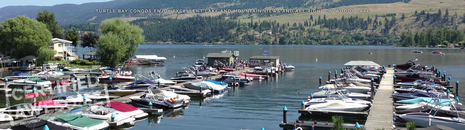 View of Boat Rentals on Woods Lake