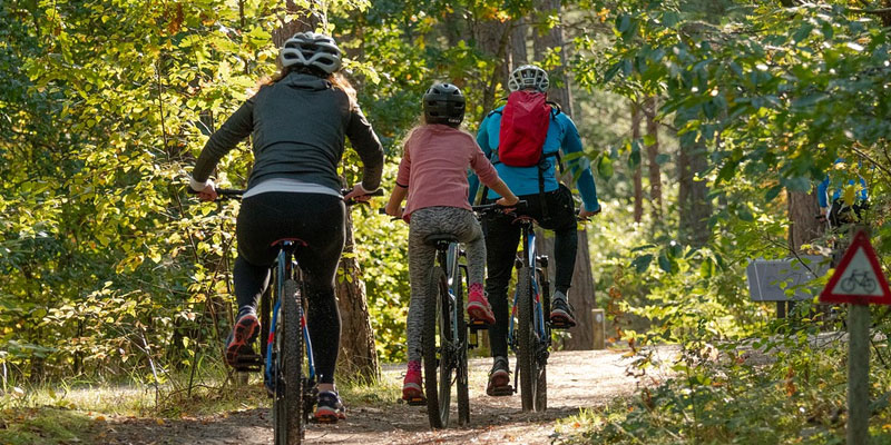 Family on bicycles